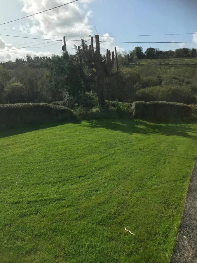 Brigid M'S Farm House Killashandra المظهر الخارجي الصورة